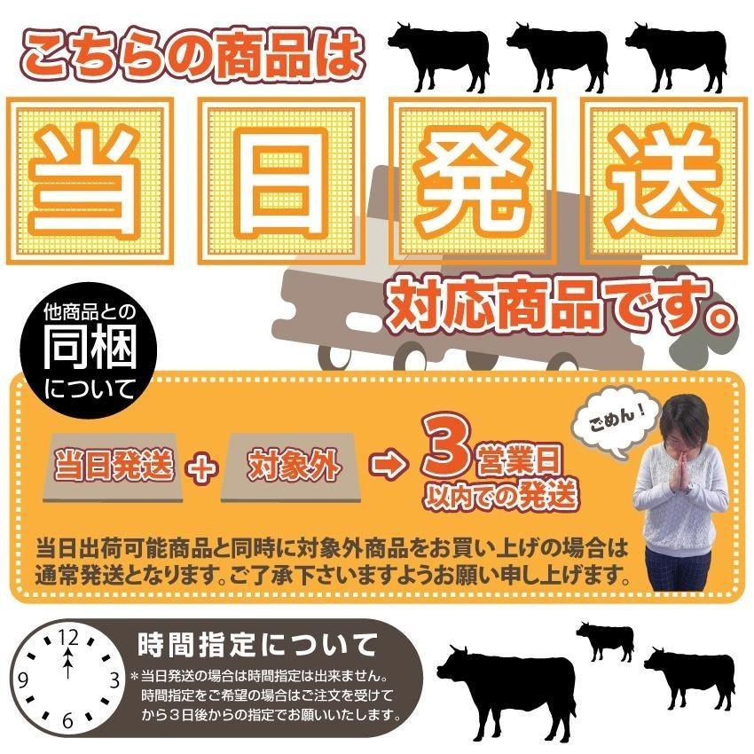 牛肉 肉 焼肉 牛肩ロース焼肉500g（250g×2）赤身 贅沢 おトク お徳用 あす楽 肉 通販 グルメ アウトドア お家焼肉 レジャー