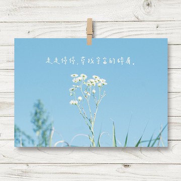 走走停停 / 明信片(N4)