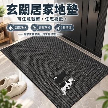 隔日到貨 水晶絨地墊 玄關地墊 防滑墊 止滑墊 刮泥地墊 門口地墊 地墊玄關 玄關墊 入戶地墊 房間地墊 客廳地墊 腳墊