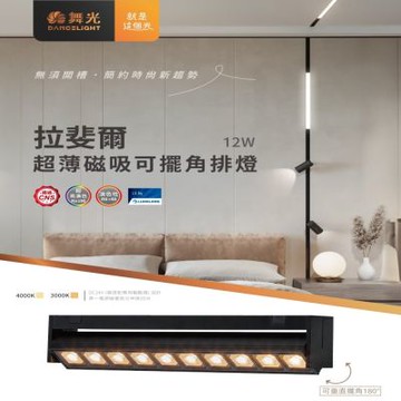 舞光-2入 8W拉斐爾磁吸可擺角燈 DC 24V(自然光/黃光)
