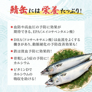 サバ缶 若狭の鯖缶 24缶 セット 水煮 鯖缶 さば サバ 鯖 缶 缶詰 魚 魚介 魚介類 海鮮 福井 若狭町