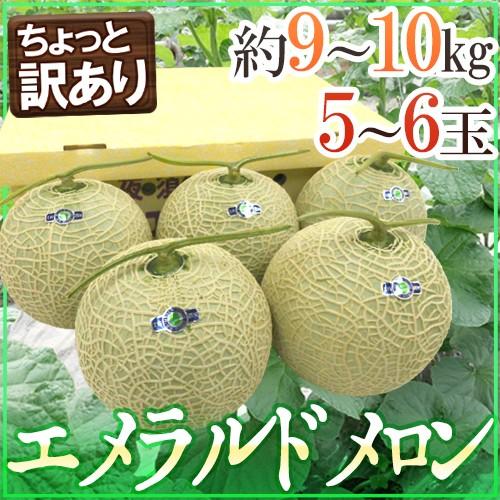 メロン 高知県夜須産 ”エメラルドメロン” ちょっと訳あり 大玉 5〜6玉入り 約9〜10kg 送料無料