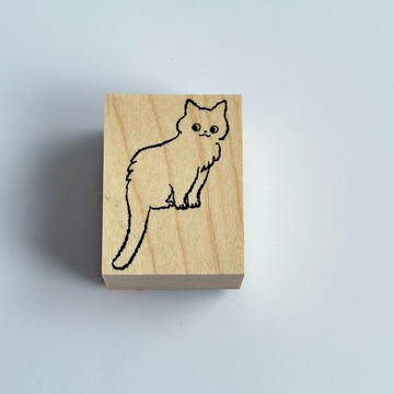 貓咪端正姿態 3040