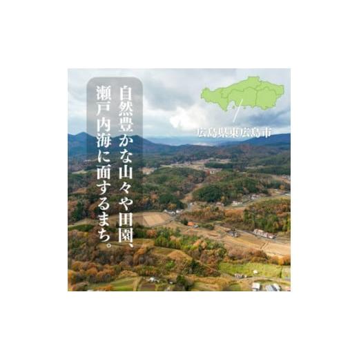 ふるさと納税 広島県 東広島市  5kg  計30kg 広島県産 お米マイスター厳選米 