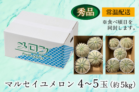 ＜秀品＞ マルセイユメロン 約5kg 4～5玉入 ／ 果物 フルーツ 赤肉 メロン 農家直送 贈り物 ※2024年6月上旬以降発送