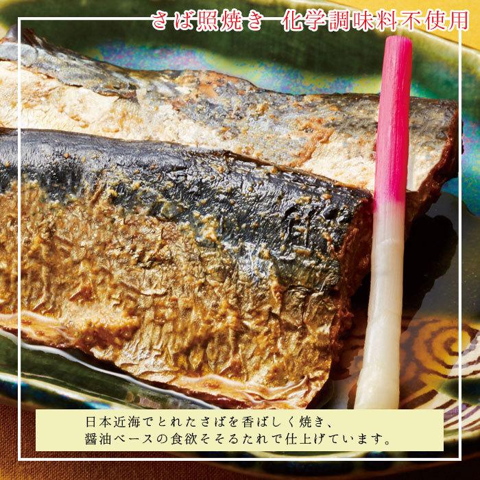 缶詰 さかな缶 総菜 4種缶 各6缶 計24缶 さば照焼き さば塩焼き さんま蒲焼き缶 焼いわし大根おろし入り梅じそ風味 魚 24缶セット 缶詰め