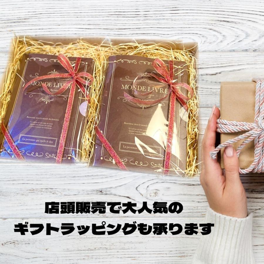 ヒレ プレゼント フィレ ステーキ100g 低温熟成 国産 牛 焼肉 赤身 肉 セット お洒落 贈り物 book型