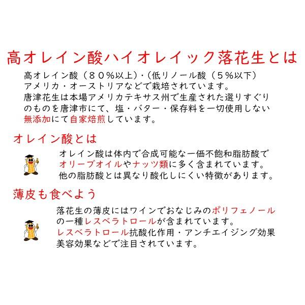 ピーナッツ 落花生 B級品 生 なま 落花生 唐津花生 ハイオレイック 本場アメリカ そのまま調理 薄皮付き ピーナッツ 300ｇ