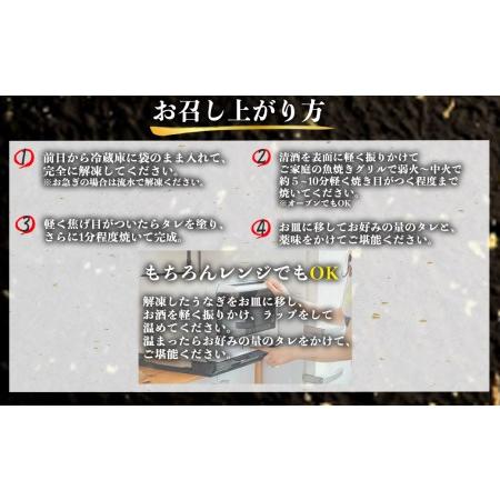 ふるさと納税 特上うなぎ 600g(200g×3尾) タレ付き うなぎ 鰻 熊本県人吉市