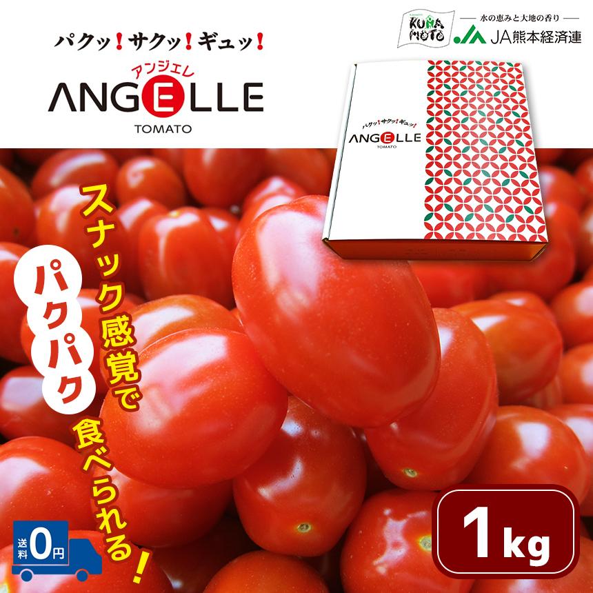 熊本県産 アンジェレ ミニトマト 1kg