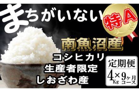 生産者限定 契約栽培　南魚沼しおざわ産コシヒカリ（4Kg×9ヶ月）