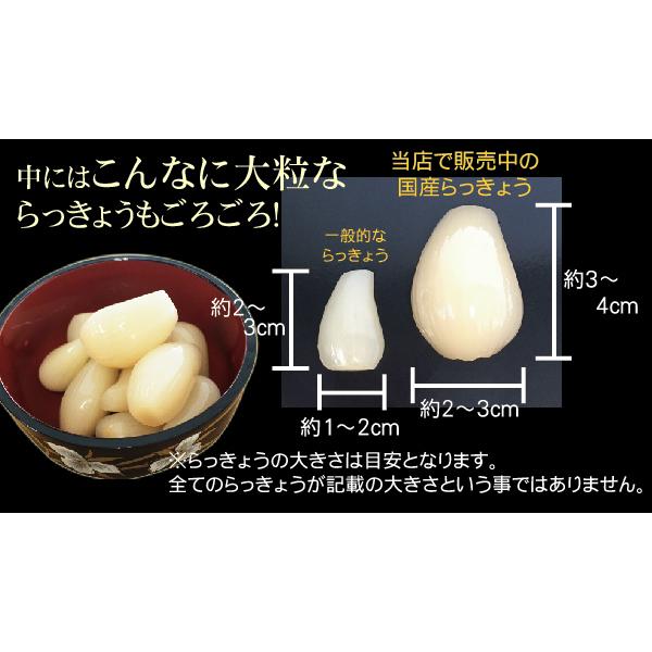  国産らっきょう3種セット 甘酢漬140g たまり漬140g ワイン漬120g [代引＆日時指定不可]