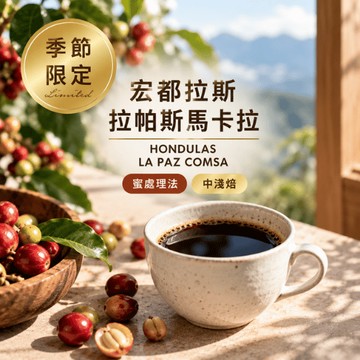 【OKO】［季節限定］蜜處理 /宏都拉斯 拉帕斯馬卡拉／ 中淺烘焙/單品咖啡豆（227g）