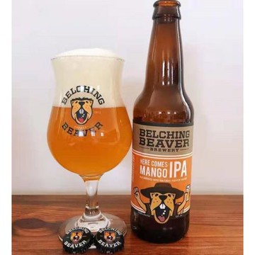 美國進口打嗝海貍BelchingBeaver專用精釀酒杯郁金香啤酒杯品脫杯