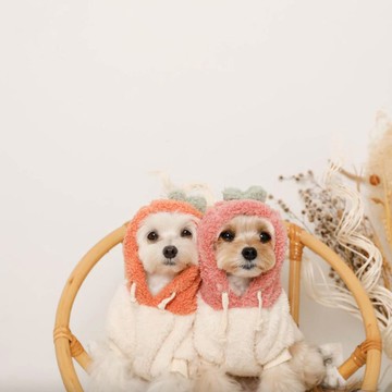 【 MONCHERI 】寵物服飾 | 水果造型毛毛連帽衫