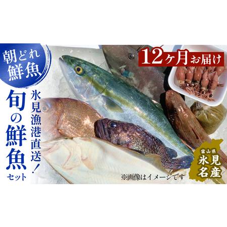 ふるさと納税 天然のいけす 富山湾 氷見漁港 旬の鮮魚セット 直送 詰め合わせ 鮮魚ボックス 富山県 氷見市 富山県氷見市