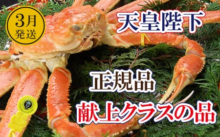 越前がに本場の越前町からお届け！誉れ高き越前がに「皇室献上級」浜茹で×1杯 桐箱入り！ [e37-x011_03b] 福井県 雄 ズワイガニ ボイル 冷蔵 越前がに 越前かに 越前ガニ 越前カニ 越前蟹 かに カニ 蟹