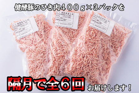＜定期便6回＞ 北海道産 健酵豚 ひき肉 計 1.2kg (全7.2kg)