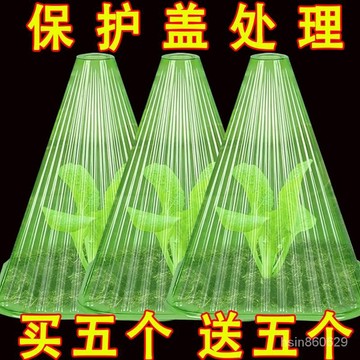🔥臺灣出貨🔥清倉加厚加高方形大棚使用植物鍾罩免受鳥類霜凍傷害綠色育苗保護hhfoof