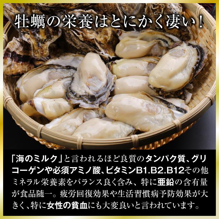 仙極かきムキ身500g×2