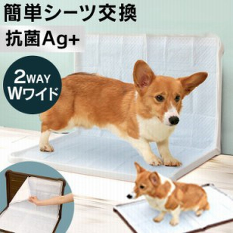 犬 トイレ 本体 トイレトレー アイリスオーヤマ ダブルワイド 足上げ しつけ トイレ本体 トイレ容器 ペットトイレ 犬トイレ シーツぴたっ 通販 Lineポイント最大1 0 Get Lineショッピング