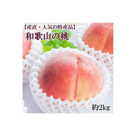 ふるさと納税 和歌山の桃　約2kg・秀選品◇| もも モモ 桃 国産 フルーツ 果物 果実 お取り寄せ ギフト デザート スイ.. 和歌山県美浜町