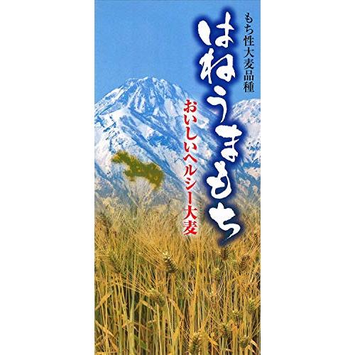 越後製菓 黒米・玄米入りもち麦ごはん 240g ×6袋