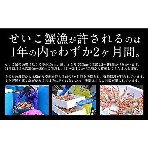 港ダイニングしおそう 甲羅盛りセット極 【 越前産ズワイガニ 中サイズ×1個(甲羅横幅 約11cm) ＆ セイコガニ 小サイズ 70g前後×2個(甲羅