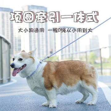 跨境賽級P繩狗狗牽引繩訓犬狗繩大中小型犬通用外出遛狗子防打結