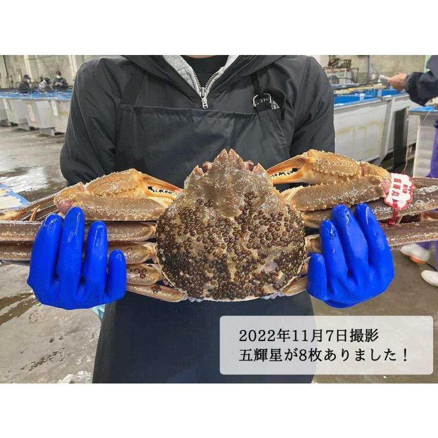 漁師直送 ズワイガニ 浜ゆで 詰め合わせ 合計1kg（訳あり含む、およそ2-3枚） 鳥取県 松葉ガニ ボイル