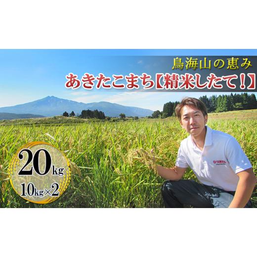 ふるさと納税 秋田県 にかほ市 秋田県産あきたこまち「ひの米」20kg(精米 10kg×2袋)