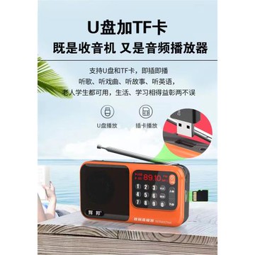 輝邦收音機新款數字選臺手提插卡優盤typec充電老人信號好便攜小