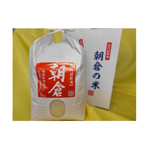 ふるさと納税 福岡県 朝倉市 朝倉産 「元気つくし」5kg