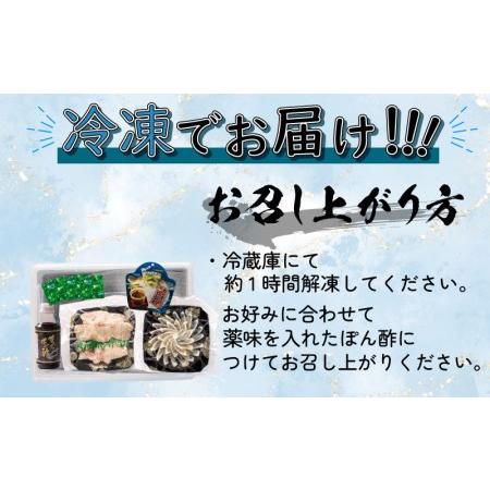 ふるさと納税  ふぐ 刺身 ちり 鍋 セット 2人前 冷凍 （ふぐ フグ とらふぐ トラフグ 本場下関ふぐ ふぐ刺し フグ刺し ふぐ刺身 .. 山口県下関市