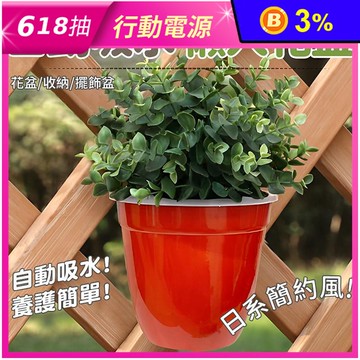 懶人自動吸水花盆 盆栽
