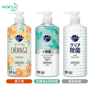 日本 Kao 花王 按壓式抑菌速淨洗碗精 480ml