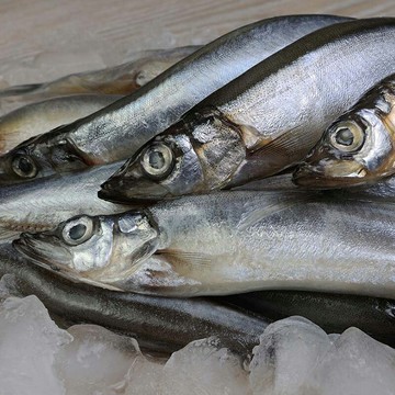 單凍柳葉魚/300g(包)_AC021