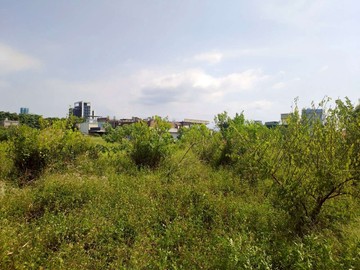 水源段持分農地★低總價★｜新竹市東區水源段