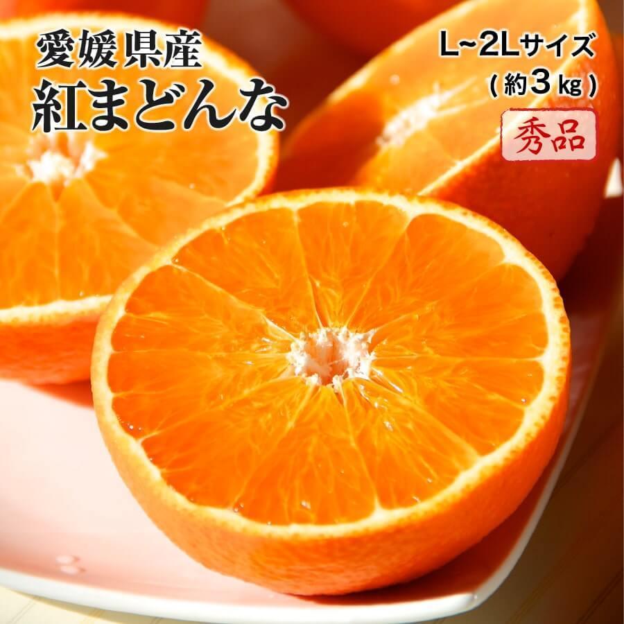 (12月上旬頃より順次発送) 2023 お歳暮 ギフト 愛媛県産 紅まどんな L〜2Lサイズ 約3kg 秀品 化粧箱入り みかん ミカン