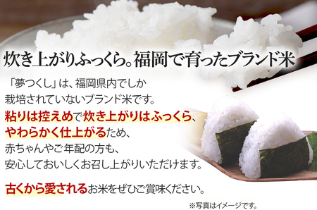 新米 令和5年産　福岡県産ブランド米「夢つくし」白米　計10kg(5kg×2袋)