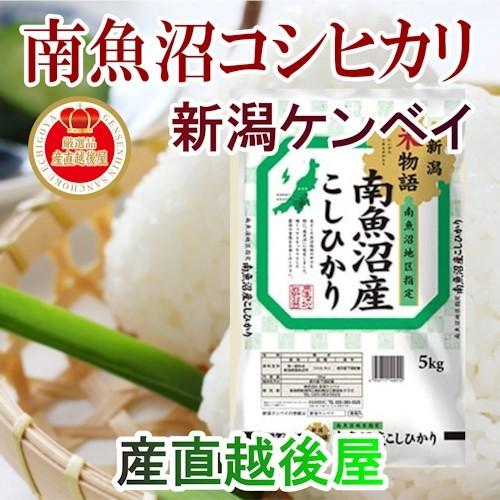 令和５年産 新米 魚沼産 コシヒカリ 新潟県南魚沼 産地限定 コシヒカリ30kg ＪＡ農協米 新潟ケンベイ産 送料無料