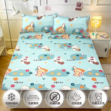 【多利寶寢具】INDIAN 可水洗三件式乳膠涼墊枕套-花色隨機出貨-雙人