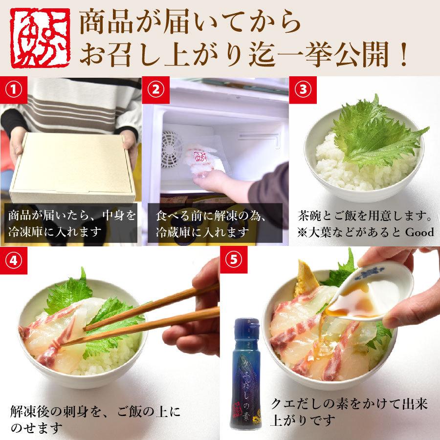 お歳暮 ギフト 長崎産天然クエと真鯛の海鮮丼セット(クエだし醤油付き) ギフト 送料込み 産地グルメ クエ刺身 鯛刺身 プロトン冷凍 よか魚イチオシ