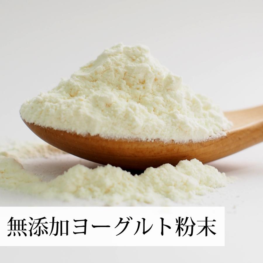 ヨーグルト 粉末 100g×10個 パウダー 無糖 無添加 砂糖不使用