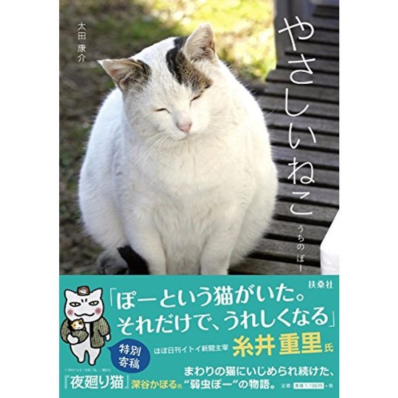 やさしいねこ