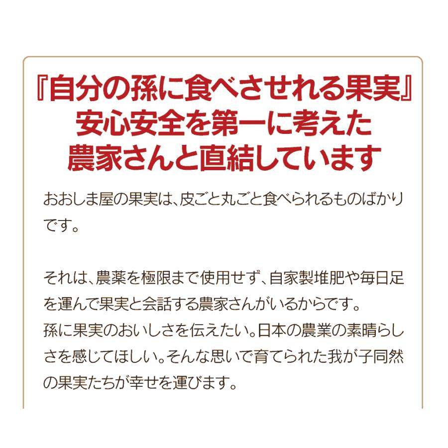 フルーツギフトセット 旬果5種詰め合わせ 極 送料無料 お礼やお祝いプレゼントに果物詰め合わせ お中元 御中元 2023