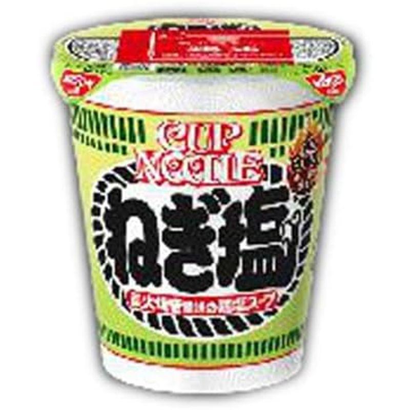 日清食品 カップヌードル ねぎ塩 76g×20個入