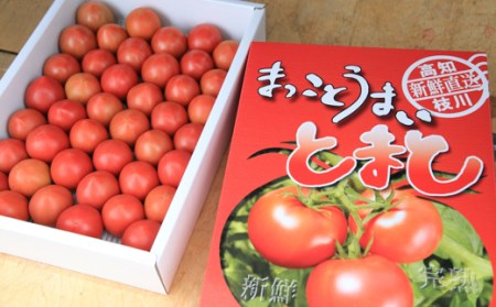 まっことうまい！水田さんのフルーツトマト　約2kg×3箱