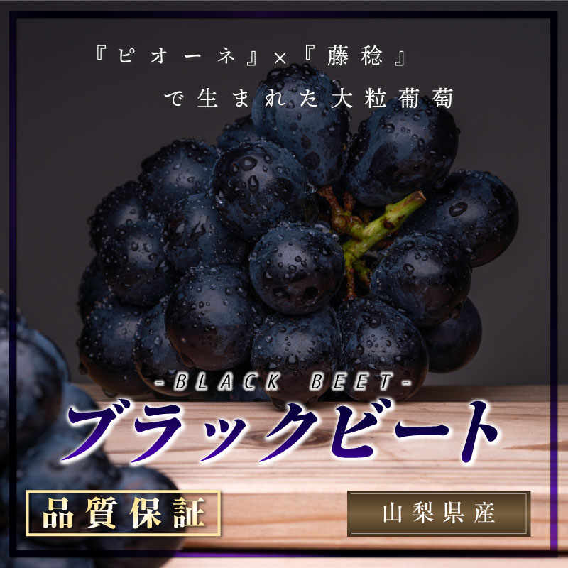 [最短順次発送]   ブラックビート 約5kg 7~8房 山梨県産 ぶどう 葡萄 黒ぶどう  大粒 ブドウ 秋ギフト  果実ギフト