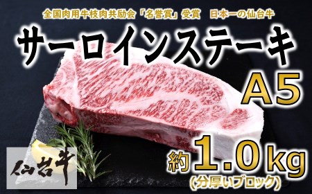 サーロインステーキ ブロック 約1.0kg(約1000g×1)